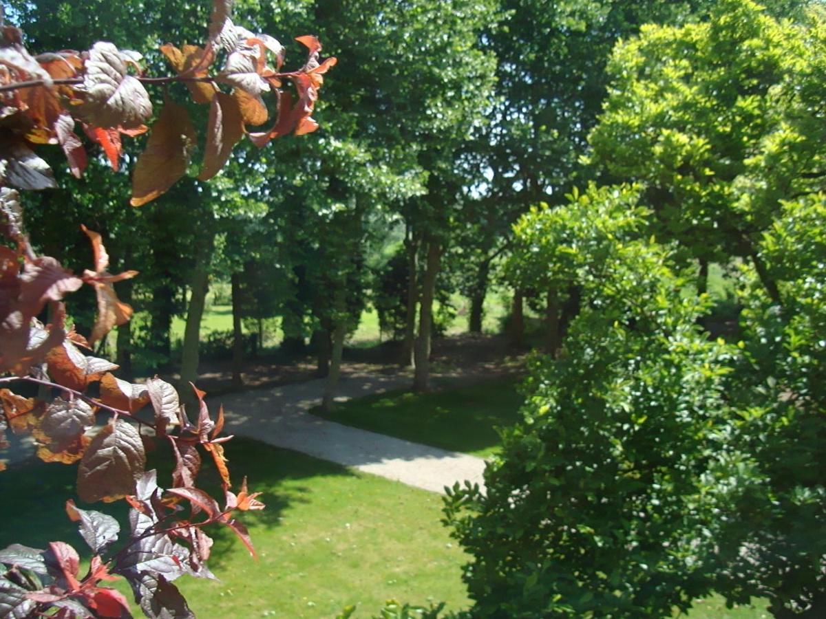 B&B Chateau Bagatelle Frasnes-lez-Anvaing Dış mekan fotoğraf