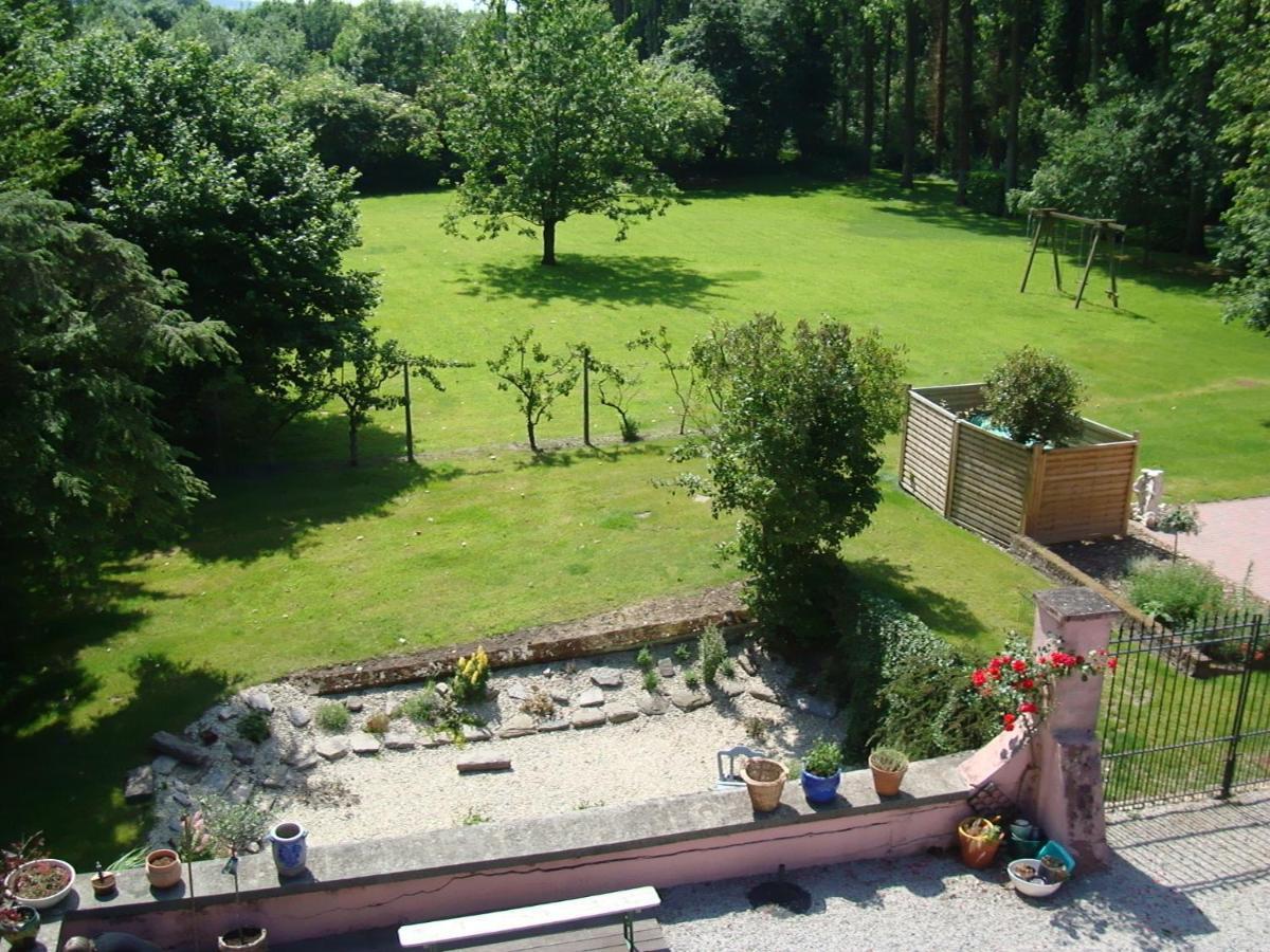 B&B Chateau Bagatelle Frasnes-lez-Anvaing Dış mekan fotoğraf